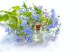 Benefits of Aromatherapy – Modern Aromatherapy