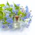 Wind Element Perfume Recipe with Essential Oils: Head in the Clouds Blend